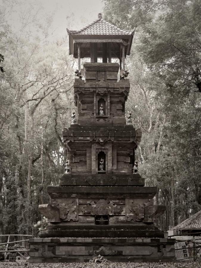 Jawa Jiwa G-Land Resort Dadapan 외부 사진