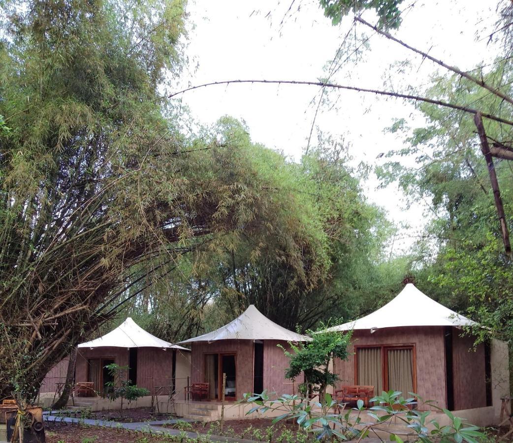 Jawa Jiwa G-Land Resort Dadapan 외부 사진