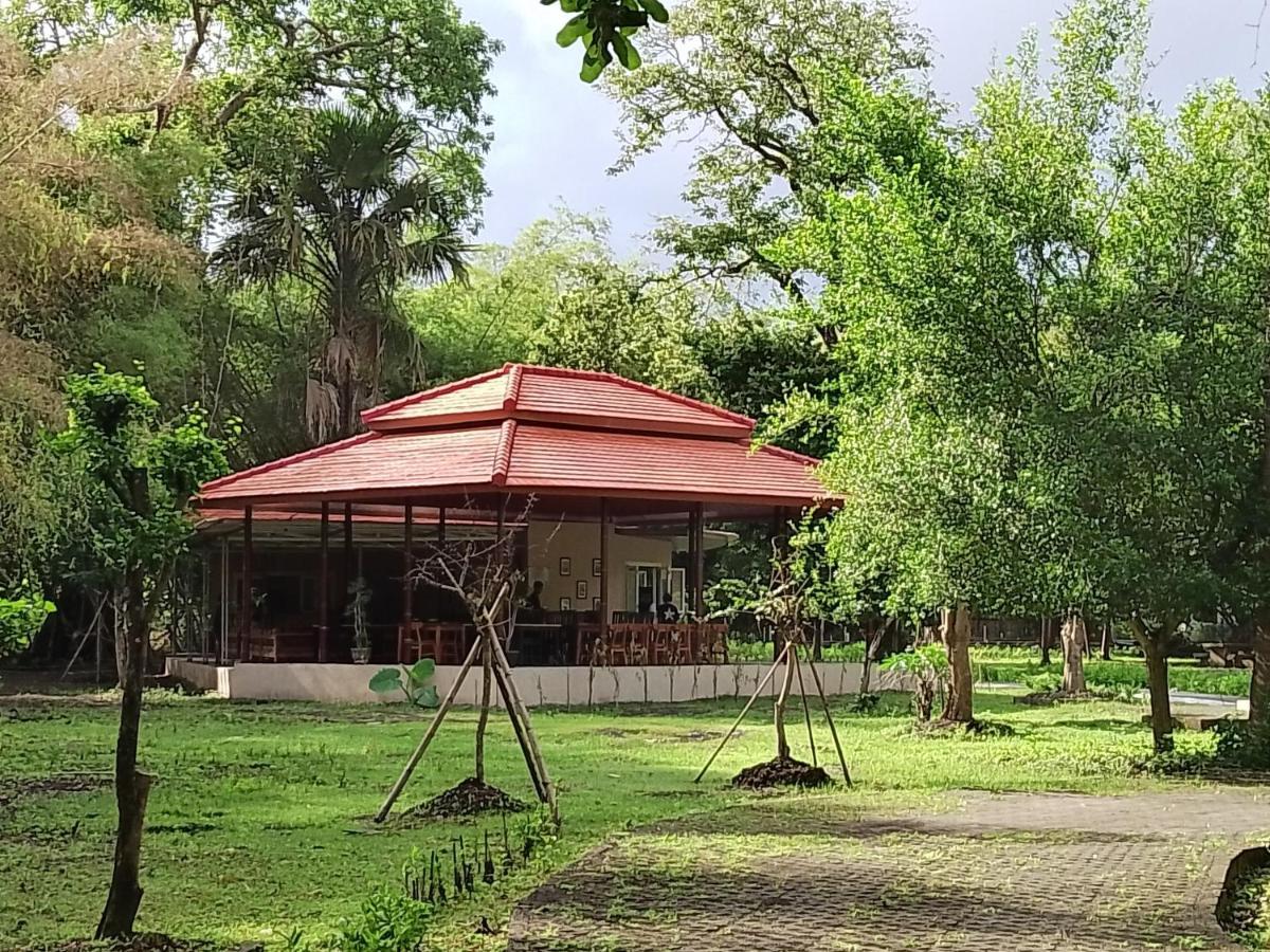 Jawa Jiwa G-Land Resort Dadapan 외부 사진