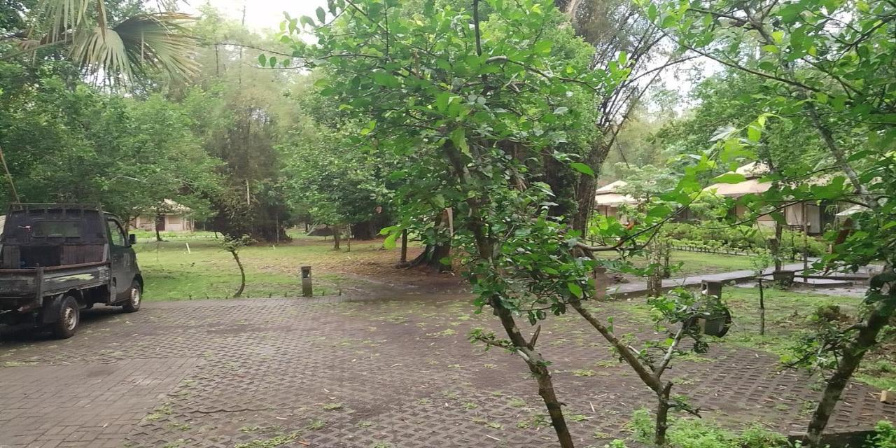 Jawa Jiwa G-Land Resort Dadapan 외부 사진